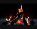 【癒し動画】焚き火campfire