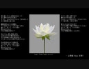 Piellius - 心模様 (feat. 星界)