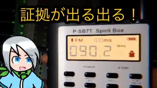 証拠をすぐに出してくれる幽霊たち〈Phasmophobia〉