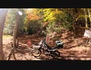 【Moto Vlog】紅葉in中津峡