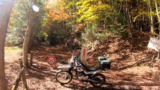 【Moto Vlog】紅葉in中津峡