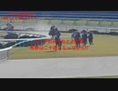 UMAJO？競馬予想「2023エリザベス女王杯編」