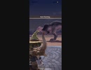 モンスターハンターNOW アンジャナフ　★4