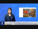中国の消費者物価指数、10月は再びマイナスに