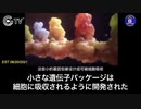 mRNAワクチンが人体の細胞に与える影響-1