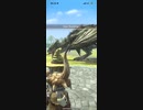モンスターハンターNOW リオレイア　★5