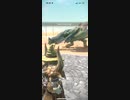 モンスターハンターNOW プケプケ　★5