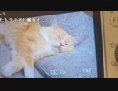 【贅肉ちゃん】お風呂入って顔出したい。2023年11月3日