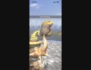 モンスターハンターNOW ドスジャグラス　★5