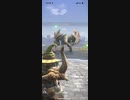 モンスターハンターNOW プケプケ　★4