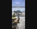 モンスターハンターNOW トビカガチ　★4