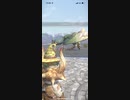 モンスターハンターNOW プケプケ　★5