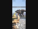 モンスターハンターNOW ボルボロス　★3