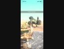 モンスターハンターNOW プケプケ　★2