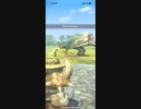 モンスターハンターNOW プケプケ　★3