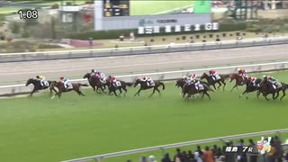 スカプラリオ　福島・3歳以上1勝クラス　2023年11月12日