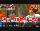 まず人間なのかい？【ポケモンコロシアム】＃１３