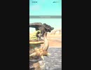 モンスターハンターNOW ボルボロス　★3