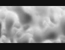 Foam Film Noise