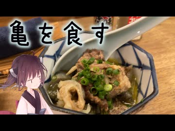 本当にゆっくりな日本一周ツーリング22日目後半【小笠原諸島】【ゆっくりVOICEROID車載】