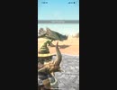 モンスターハンターNOW プケプケ　★5