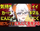 にんにくをキメるレヴィちゃん【ヴァンサバ】