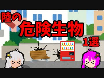 【VOICEROID解説】ゆかり先輩と見る危険生物【陸編⑥】