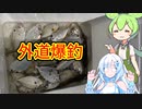 【VOICEVOX実況】釣った魚で「黒字化」を目指すWhiteCUL #2　外道爆釣