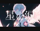 星の涙／ver.一夜すみ【歌ってみた】