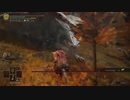 【初見ぼやき実況】Truth of the Elden Lord Part.66【ELDEN RING】