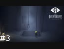 【LITTLE NIGHTMARES 実況プレイ#3】3Dが苦手なゲーム実況者、高画質3Dゲームを遊ぶ