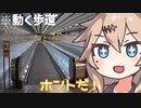 動く歩道で遊ぶ春日部つむぎ