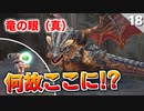 【ミンサガリマスター】最強の防具、竜の眼（真）を取りに行くぞ！【計8周目 実況】#18