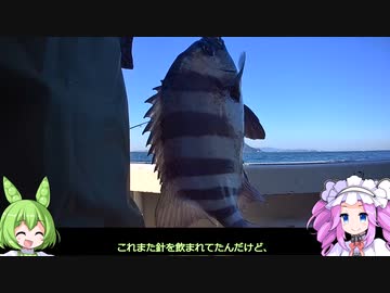 【のんびり】知多半島釣行6【船釣り】