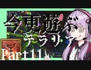 【Terraria】今更遊ぶテラリア Calamity mod [Part.11]