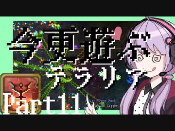 【Terraria】今更遊ぶテラリア Calamity mod [Part.11]
