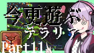 【Terraria】今更遊ぶテラリア Calamity mod [Part.11]