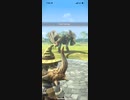 モンスターハンターNOW プケプケ　★5