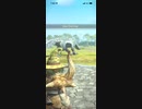 モンスターハンターNOW トビカガチ　★4