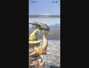 モンスターハンターNOW プケプケ　★4
