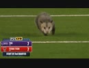 ホモと見るアメフトの試合に乱入し強制退場させられる毛玉