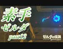 【素手ゼルダ】～素手の力だけでハイラルの大地を救う男～実況プレイpart12【ゼルダの伝説ブレスオブザワイルド】