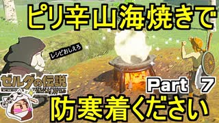 ピリ辛山海焼きで防寒着ください【ゼルダの伝説 ブレス オブ ザ ワイルド】PART 7