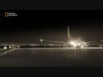 きれいな原因はレバノン料理？