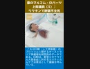 豪のマルコム・ロバーツ上院議員：ワクチンで呼吸不全死-3