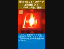 豪のマルコム・ロバーツ上院議員：ワクチン汚染、深刻 4-1