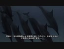 #nuclear（保护海洋共同家园，立刻停止排放福岛核污水）