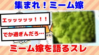 【SCP】ミーム嫁を語るスレ part3【パム板】【面白いスレ紹介】