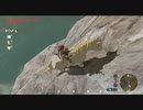 【ゼルダの伝説】マイペースに行くリンクと引きこもり#48前編【ブレスオブザワイルド】