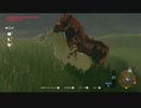 【ゼルダの伝説】マイペースに行くリンクと引きこもり#48後編【ブレスオブザワイルド】